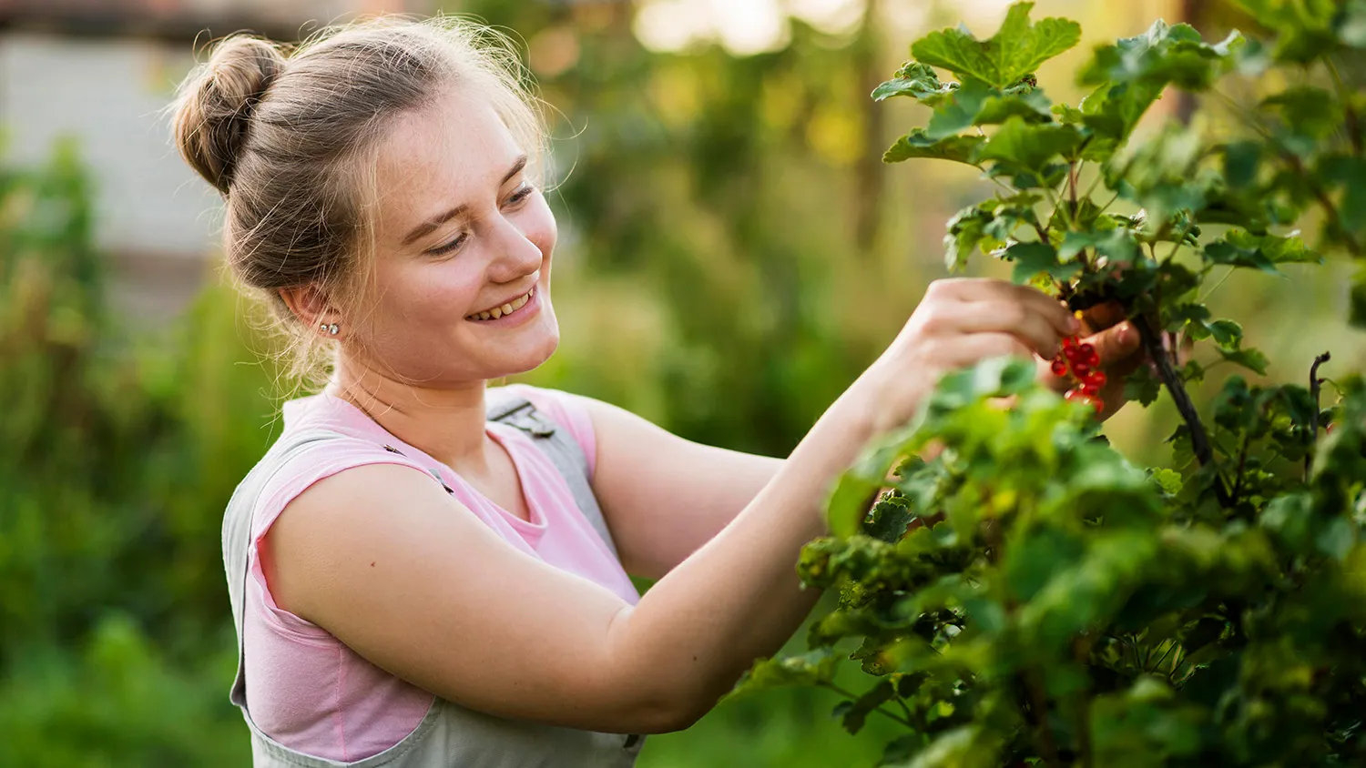 smiley-girl-picking-red-berries.jpg